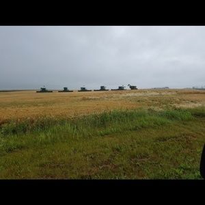 Meet your Posher, Whitney